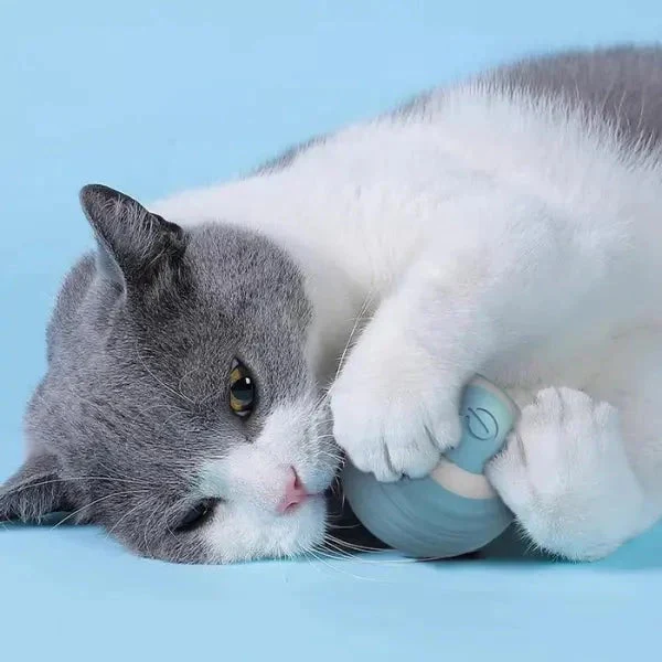 Pelota Inteligente Para Gatos